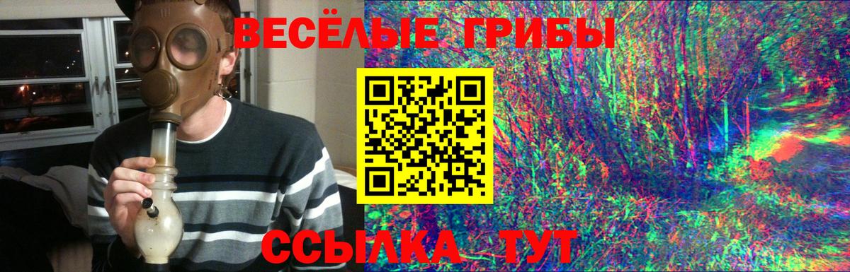 купить наркоту  Галлюциногенные грибы GOLDEN TEACHER  Вход с VPN  Можайск 